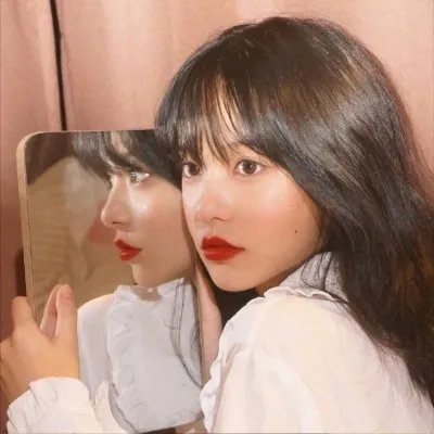 彩叶草之梦